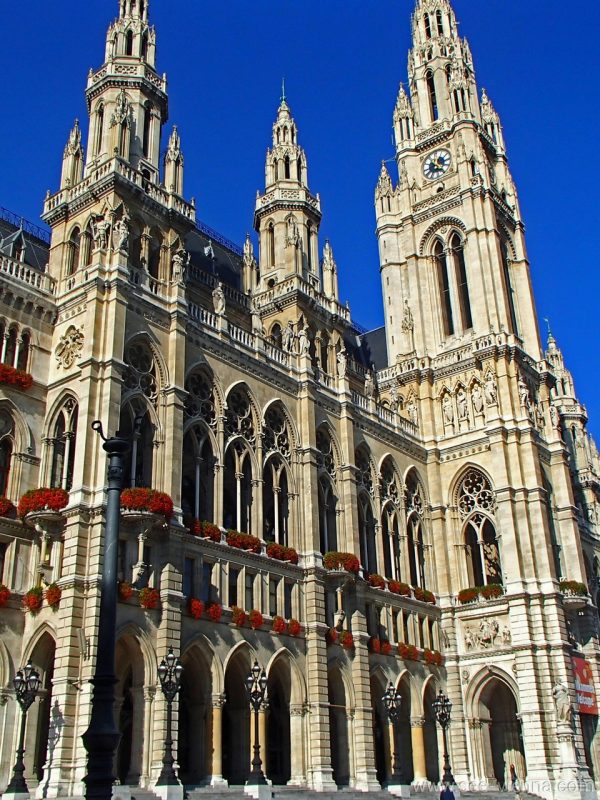 Виена Кметството